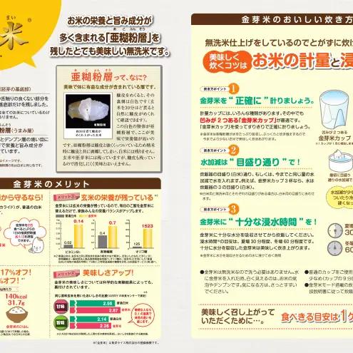 お米 無洗米 静岡県産 JAおおいがわ 金芽米 5kg お米