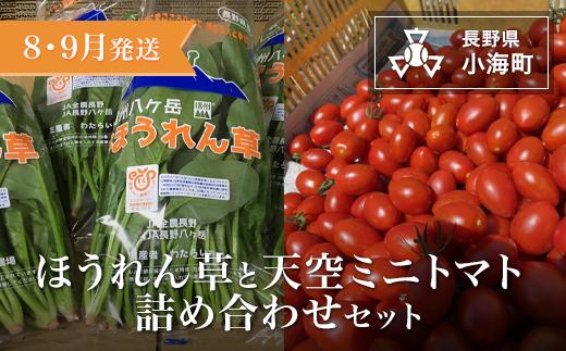 
            わたらい農場　ほうれん草・天空ミニトマト詰め合わせセット| 野菜 新鮮 旬 新鮮 高原野菜 根菜 【 2026年発送 先行予約 】
          