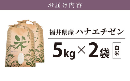 ハナエチゼン 10kg 令和5年 福井県産【白米】【お米 はなえちぜん 華越前 10キロ】 [e30-a059]