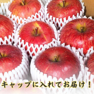【青森ごのへ産】 家庭用 サンふじ 約10kg(訳アリ)【配送不可地域：離島・沖縄県・中国・四国・九州】【1122681】