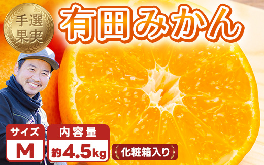 和歌山の有田みかん 化粧箱入り 4.5kg Mサイズ｜まごころ手選別 ミカン 蜜柑 温州みかん 柑橘 和歌山 ギフト 贈答 ※2025年11月上旬～2026年1月下旬頃に順次発送予定