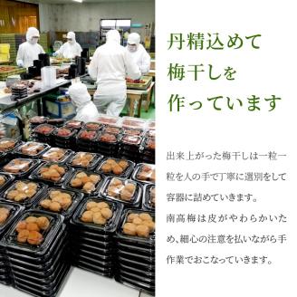 はちみつ梅干（紀州南高梅）800g 大粒 3L以上 和歌山県産【0282-4】
