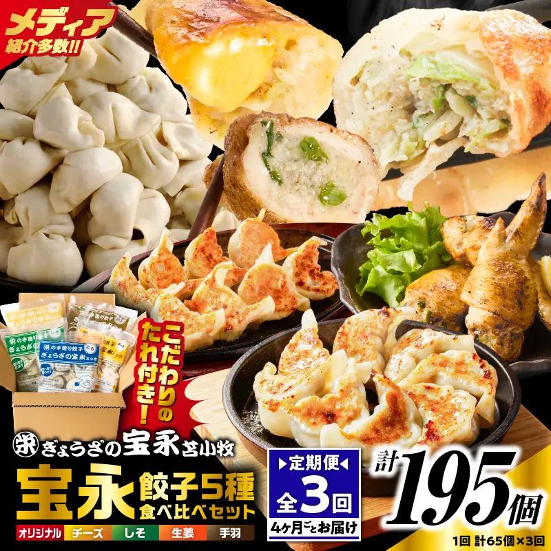 【定期便・全3回 4ヶ月毎】手包み餃子 ぎょうざの宝永 5種食べ比べセット（65個入） T004-T07-01 定期便 定期 惣菜 総菜 餃子