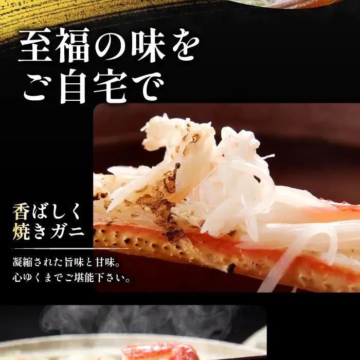 【活き】ご自宅用松葉ガニ　大　１枚【松葉ガニ 松葉がに 松葉蟹 まつばがに かに カニ 冷蔵 チルド ブランド ズワイガニ 活き 自宅用 冬 国産 季節限定 お取り寄せ 鳥取県 日吉津村 日本海】