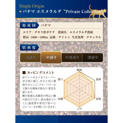 ふるさと納税 藤沢市 パナマ　エスメラルダ農園　プライベートコレクション　ゲイシャ　ナチュラルとウォッシュド飲み比べ(豆) |  | 02