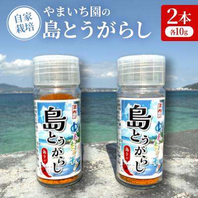 ふるさと納税 名護市 やまいち園の自家栽培 島とうがらし 2本(各10g)