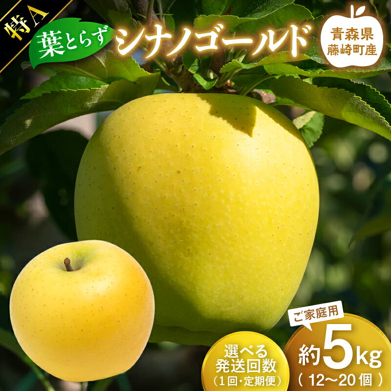 【ふるさと納税】≪発送回数が選べる≫【先行予約】シナノゴールド 特A ご家庭用 約5kg（12〜20個）りんご リンゴ 林檎 果物 フルーツ F41-0028var