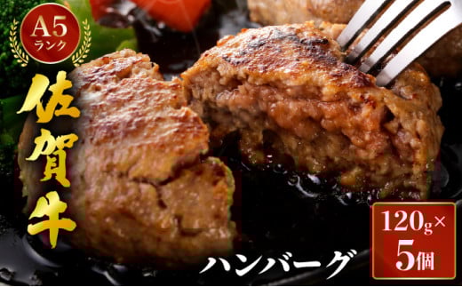 佐賀牛ハンバーグ　120g×5個																															