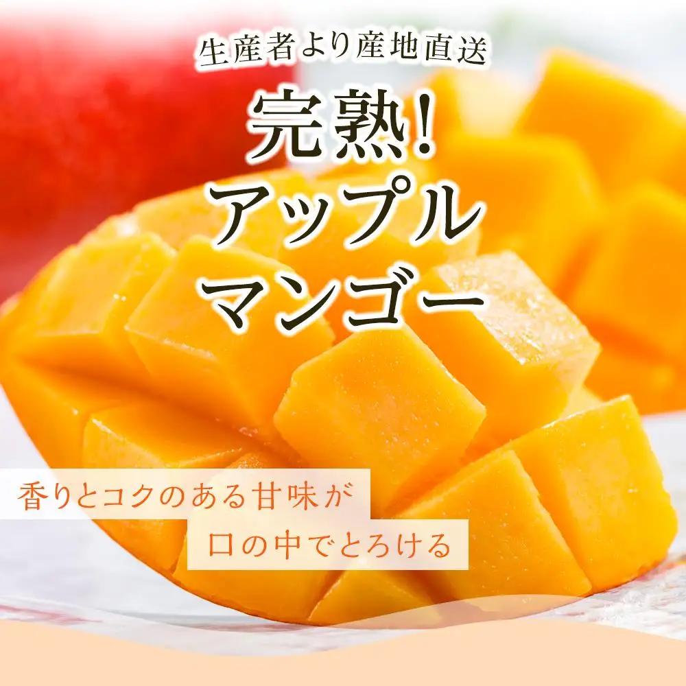 【先行予約 2027年発送】家庭用マンゴー 約800g アップルマンゴー