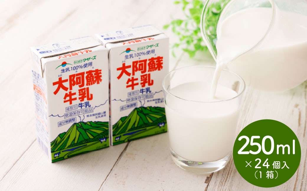 
            大阿蘇牛乳 250ml×24個入（1箱） 牛乳 ミルク 成分無調整 紙パック パック ロングライフ 長期保存 常温 熊本県 上天草市
          