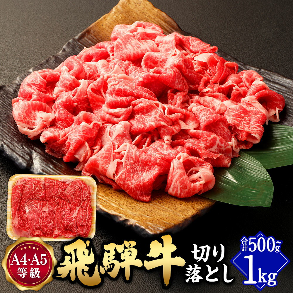 【ふるさと納税】飛騨牛 切り落とし ＜選べる内容量＞ 500g / 計1kg A5 A4 等級 | 肉のかた山 岐阜県産 国産 牛 牛肉 お肉 ブランド牛 和牛 黒毛和牛 焼き肉 すき焼き しゃぶしゃぶ ギフト A4等級 A5等級 冷凍 送料無料