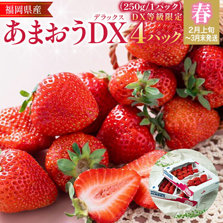 【ふるさと納税】福岡産【春】あまおうDX（デラックス）4パック いちご 苺 果物 フルーツ 九州産 福岡県産 冷蔵 送料無料 【2月上旬発送開始予定】 イチゴ フルーツ 果物 くだもの ブランド 国産 甘味 果汁