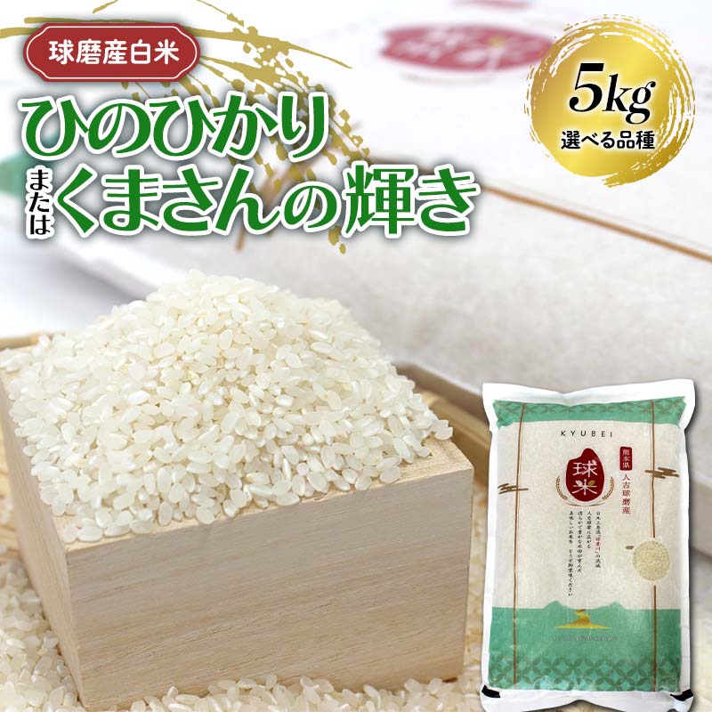 【ふるさと納税】 ＼選べる品種／ 【令和7年度産】球磨産白米 5kg ひのひかり or くまさんの輝き 新米 白米 精米 ふっくら 国産米 おすすめ 農家 FKP9-678var