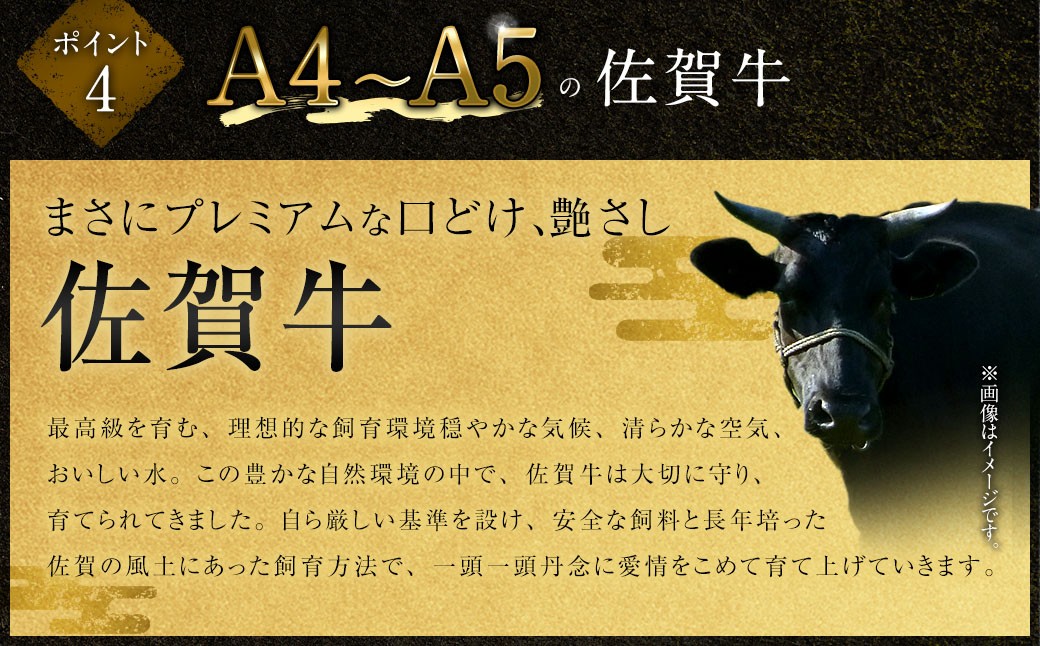 【2025年9月初登場】 佐賀牛 リッチな霜降り 大判 切り落とし 500g ／ 黒毛和牛 黒毛和種 和牛 牛肉 お肉 肉 霜降り 九州 福岡県 太宰府市 冷凍