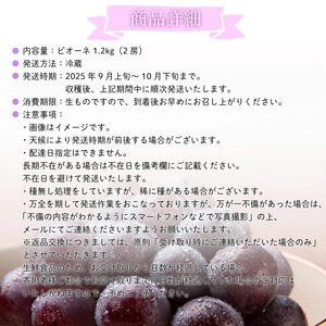 【2025年先行予約】［大原観光果樹園］ピオーネ 2房（約1.2kg）［026-a012］