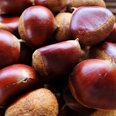 ふるさと納税 京丹波町 京都・京丹波町産　栗　氷蔵熟成・丹波栗　1kg |  | 02