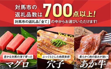 【あとから選べる】対馬市ふるさとギフト 40万円 分 《対馬市》 離島 コンシェルジュ 米 肉 魚介 海鮮 木工品 常温 冷蔵 冷凍[WZZ019]