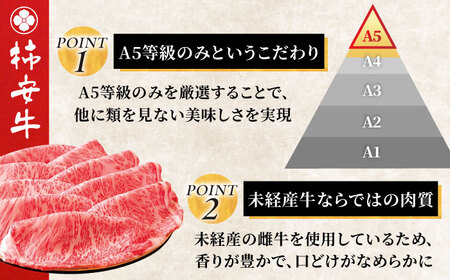 【6回定期便】最高級A5等級 三重県産 黒毛和牛 三重 柿安牛 サーロインステーキ 800g 亀山市/柿安本店 ステーキ 冷蔵 送料無料[AMBW028]