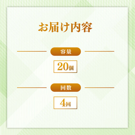 定期便 パックごはん 白米 20個×4回