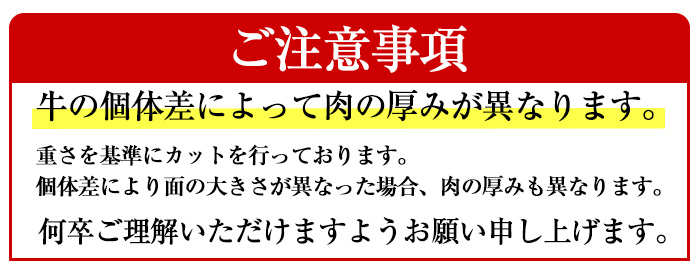 鹿児島県産A4等級以上黒毛和牛・シャトーブリアン 計400g(200g×2枚)【ビーフ倉薗】D32