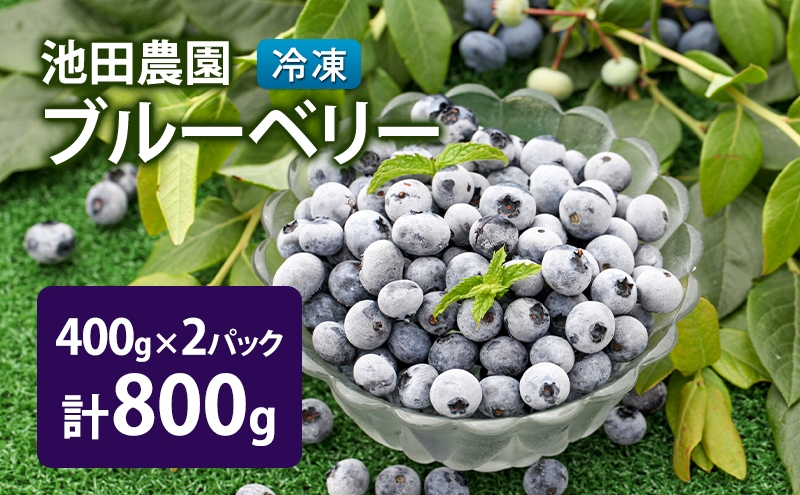 
            冷凍 ブルーベリー 800g (400g×2パック) 北海道産 フルーツ 果物 旬のフルーツ 旬の果物 くだもの 北海道 芦別市 [№5342-0796]
          