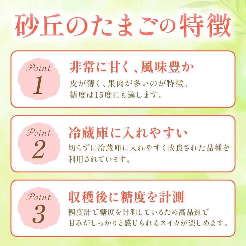 小玉スイカ 砂丘のたまご 1玉 26年6月～ スイカ