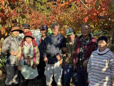 【2026年12月より順次発送】柿の王様 池尻農園 田主丸町の富有柿(冷蔵)2L 16玉入り 約4.2㎏_柿 約 4.2kg 富有柿 2L サイズ 16玉 入り 個包装 柿の王様 甘柿 人気 高い 国