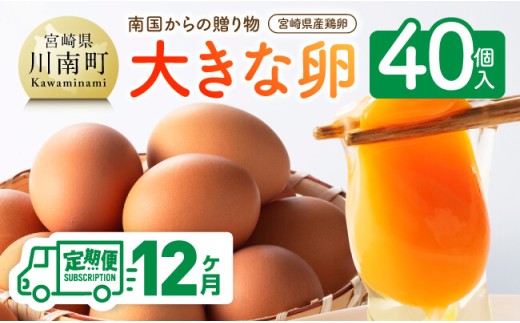【12ヶ月定期便】宮崎県産鶏卵　「南国からの贈り物」大きな卵40個入り（35個+破損補償5個） 【 卵 たまご 新鮮 おうちごはん タマゴ おうち時間 】