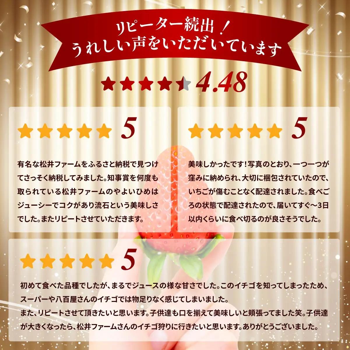 いちご 3～6品種 食べ比べ 計6パック いちご
