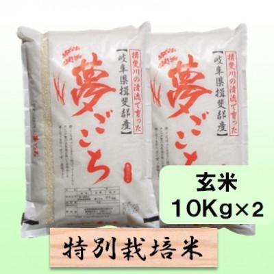 ふるさと納税 池田町 【令和7年産】特別栽培米 20kg【玄米】(夢ごこち)