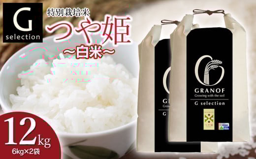【令和7年産先行予約】 特別栽培米 Gセレクション つや姫 白米 12kg (6kg×2袋) 山形県鶴岡市産　株式会社グラノフ