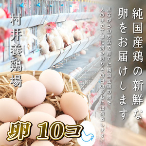 近江牛 すき焼き 4人前 セット 和牛 黒毛和牛 肉 野菜 旬野菜 やさい 卵 割り下 すきやき 竜王産 滋賀県 竜王町 岡喜牧場 送料無料