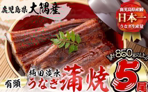 楠田の極うなぎ 蒲焼き 170g以上×5尾(計850g以上) c7-004