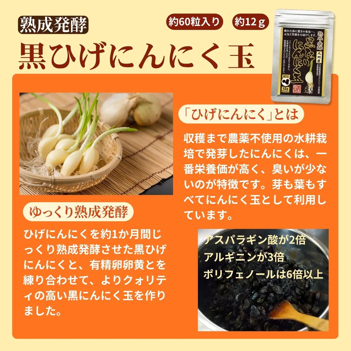 【レターパックライト配送】佐賀の手作りひげにんにく卵黄９袋セット：B515-005