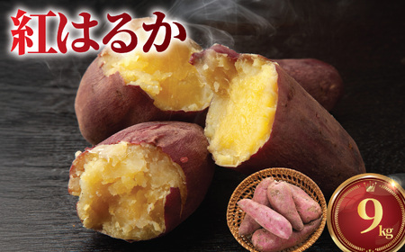 訳あり 紅はるか 9kg ( 訳あり FN-SupportProject 増量 年末企画 )