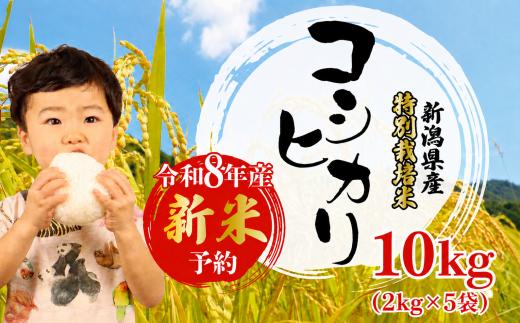 【令和8年産】 コシヒカリ10kg 白米 特別栽培米 (2kg×5袋) 白米 米 こしひかり こめ 大粒 ごはん おにぎり お弁当 農家直送 産地直送 ふるさと納税 姉﨑農園 新潟産 新潟県 新発田市 anezaki013