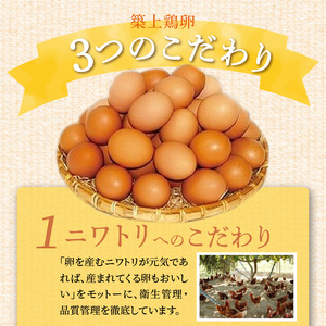 放し飼いたまご「かぐやひめ」20個＆米1㎏【福岡上毛町産】　C01906
