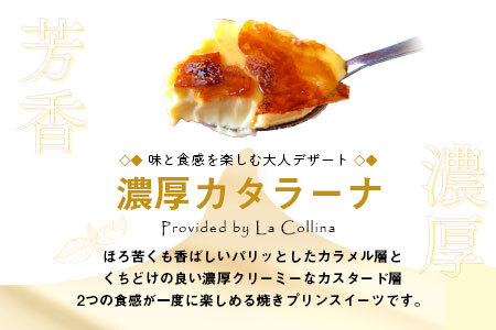 カタラーナ（プレーンタイプ）3個セット【AM-011】