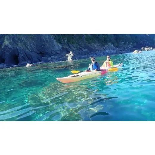 【  シーカヤック 体験チケット 】 ガンガン横波三里コース 高知県