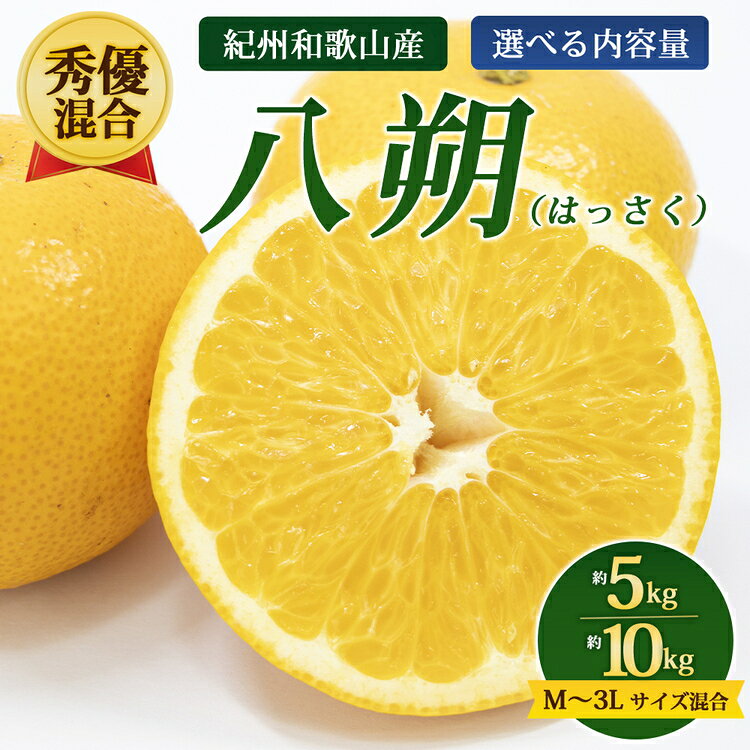 【ふるさと納税】＼選べる内容量／【秀優混合】紀州和歌山産 八朔（はっさく）約5kg、約10kg M～3L サイズ混合