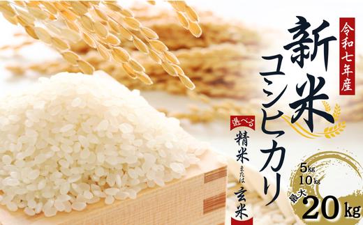 
            【令和７年産】　水野農園の加須市北川辺産　コシヒカリ　5㎏、10kg、20㎏　《選べる！精米or玄米》｜お米　新米　米　令和７年　こしひかり
          