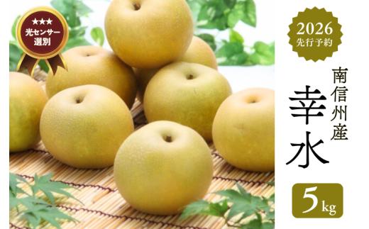 JA05-26A【先行予約】梨 幸水 約5kg／2026年8月中旬～9月上旬頃 配送予定 // 贈答 センサー選別 糖度センサー 梨 なし ナシ 果物 フルーツ ギフト 幸水 太鼓判 優糖生