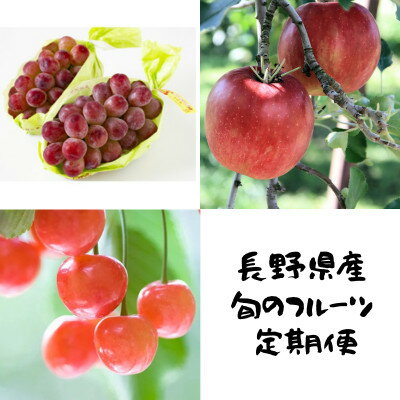 【ふるさと納税】【発送月固定定期便】長野の果物 サクランボ+クイーンルージュ+サンふじ全3回【配送不可地域：離島】【4081305】