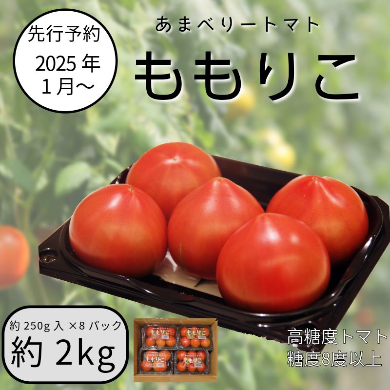 【先行予約】2025年2月発送 ももりこトマト 約2kg(約250g×8パック)　フルーツ トマト 糖度8以上 徳島 甘い 野菜 人気 おすすめ  産地 直送 ふるさと納税 野菜 ヘルシー 健康 小分け パック