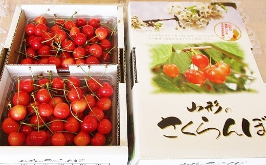 さくらんぼ（佐藤錦）８００ｇ　ご家庭用　0025-2602