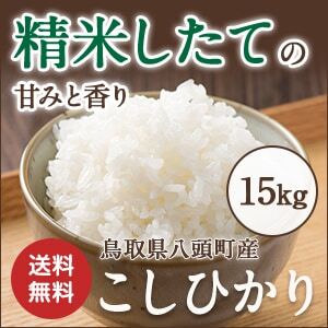 Y309 特別栽培米コシヒカリ15kg
