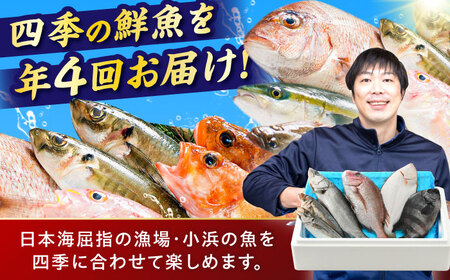 【定期便】全4回(3ヶ月毎発送)【加福鮮魚】「若狭小浜港産地直送」旬の天然鮮魚お任せセット！地魚 下処理済み 刺身 煮魚 焼き魚  小浜市 / 加福鮮魚 【配送不可地域：北海道、北東北（秋田、青森、岩
