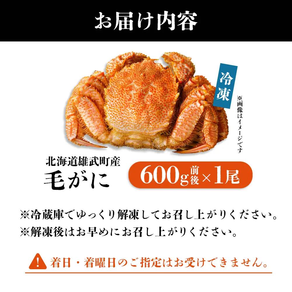 【北海道雄武町産】毛がに（冷凍）(600g前後×1)【1240702】
