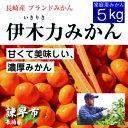 【ふるさと納税】先行予約 伊木力みかん（家庭用）5kg / みかん ミカン 蜜柑 フルーツ 果物 / 諫早市 / 山野果樹園 [AHCF002]