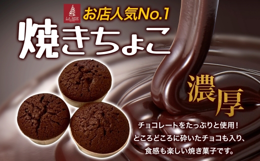 寒川町特産品 焼きちょこ 20個入り しっとり 濃厚  チョコレート 焼き菓子 焼菓子 リッチ 滑らか チョコ ショコラ デザート スイーツ ラメール洋菓子 ギフト 贈答品 プレゼント 送料無料 神奈